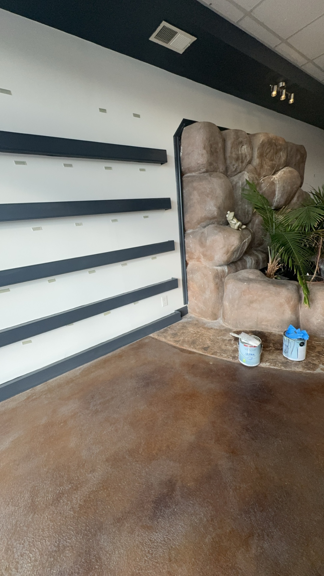 Commercial retail space with fresh two-tone paint and dark shelving